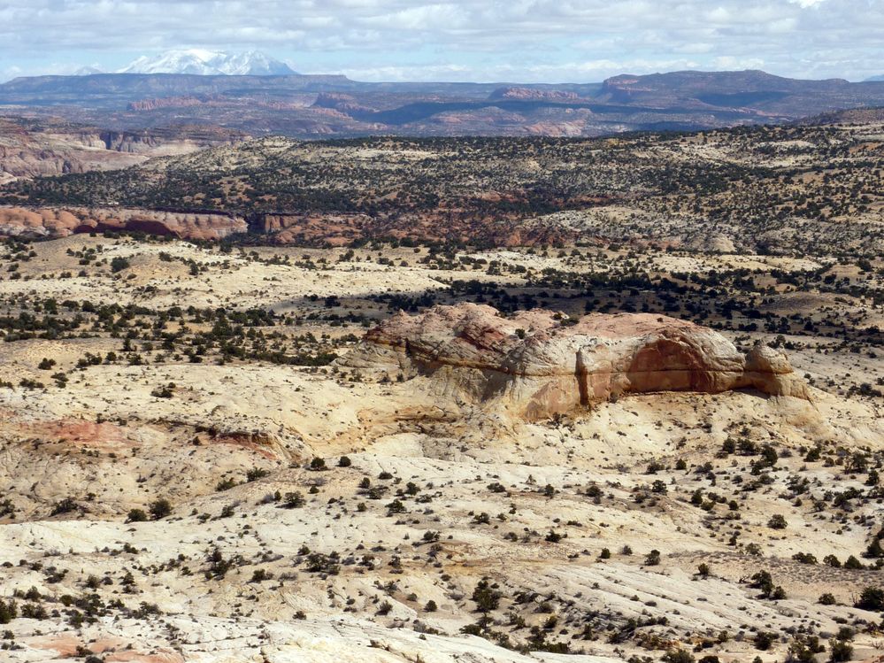 Grand Staircase - Escalante (44).JPG